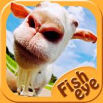 Fish Eye Camera – Selfie Photo Editor with Lens, Color Filter Effects