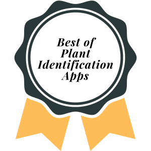 Best of Plant Identification Apps